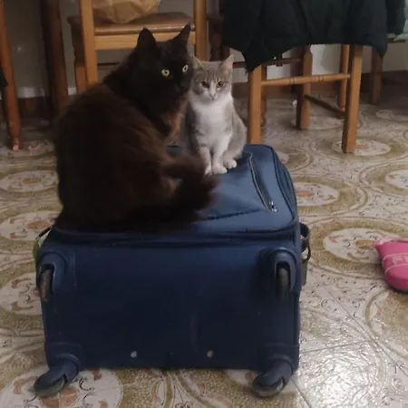 Casa Antonio Barano dʼIschia