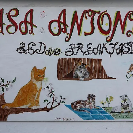 Bed & Breakfast Casa Antonio Barano dʼIschia