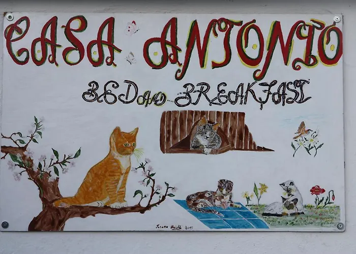 Hotel Casa Antonio Barano dʼIschia